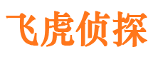 贵南市侦探调查公司